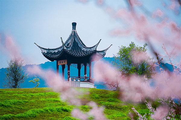 重庆墓园生态新探索：林下葬、花坛葬如何兼顾纪念意义与土地节约？