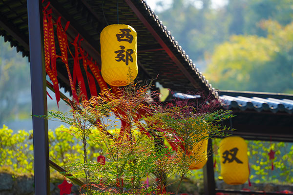 探访重庆西郊福寿园：打造“纪念 + 教育”双功能 让生命文化更有温度