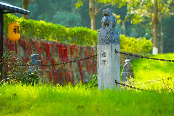 重庆墓园，都市绿洲中的生命礼赞，塑造殡葬服务新标准