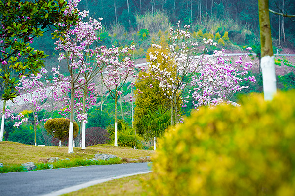 重庆墓地使用权限期限,是否永久使用？